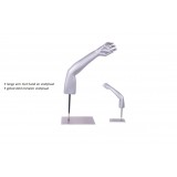Presentatie Lange Arm en Hand voor Orthopedische Producten 